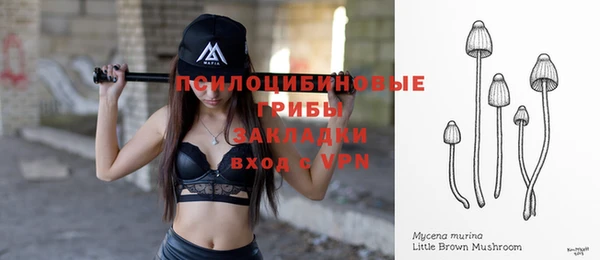 стафф Лихославль