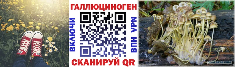 Галлюциногенные грибы мицелий Тутаев